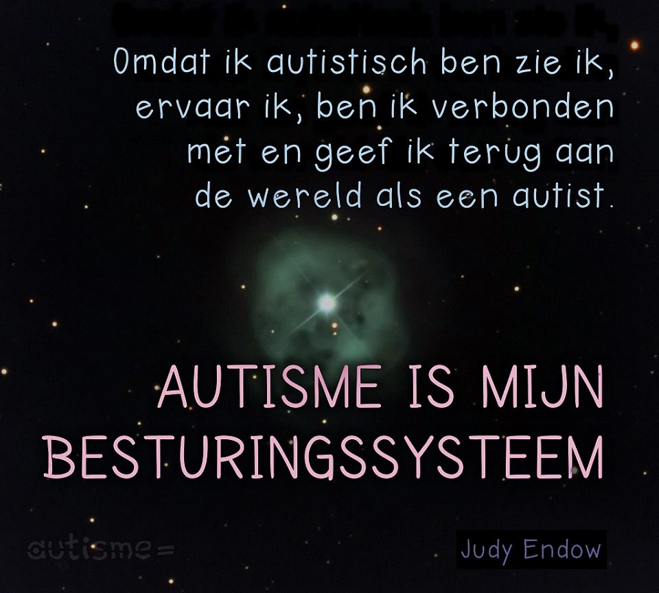 besturings systeem