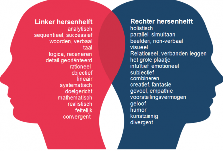 linker-en-rechter-hersenhelft